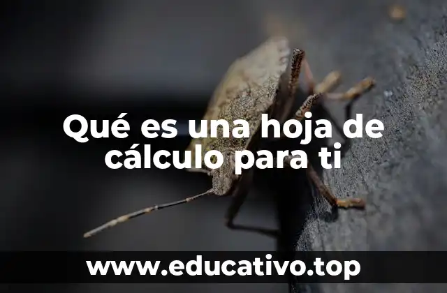 Qué es una hoja de cálculo para ti