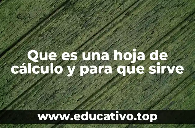 Que es una hoja de cálculo y para que sirve