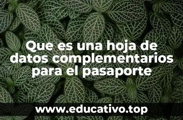 Que es una hoja de datos complementarios para el pasaporte