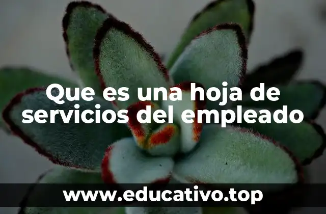 Que es una hoja de servicios del empleado