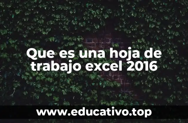 Que es una hoja de trabajo excel 2016