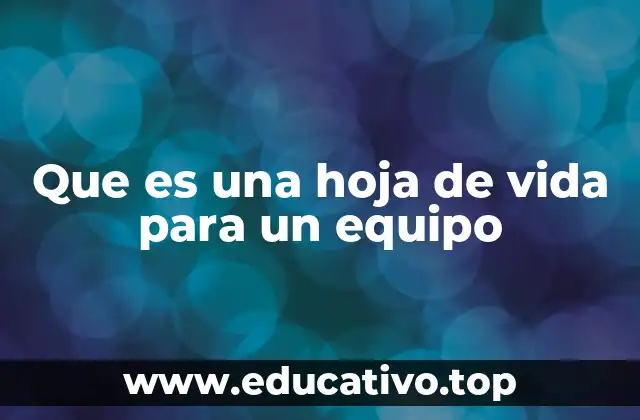 Que es una hoja de vida para un equipo