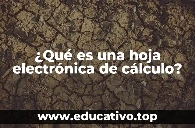 ¿Qué es una hoja electrónica de cálculo?