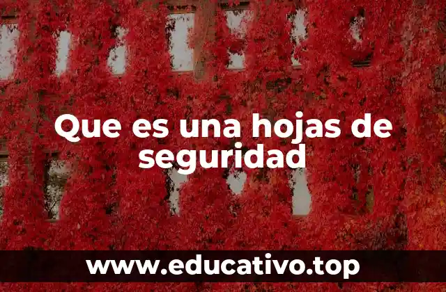 Que es una hojas de seguridad