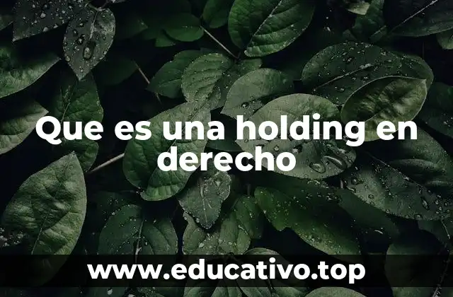 Que es una holding en derecho