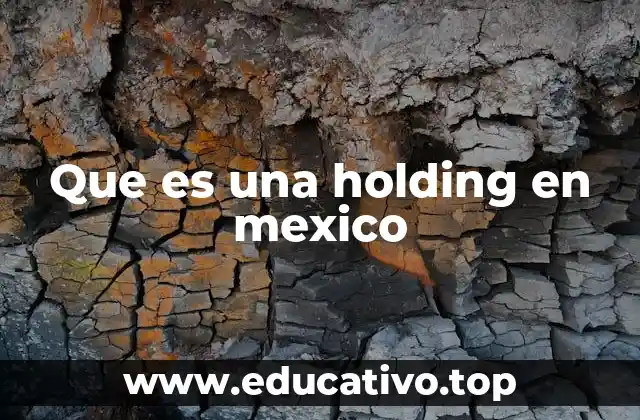 La estructura corporativa detrás de una holding en México
