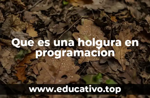 Que es una holgura en programacion