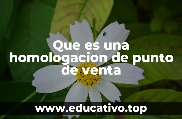 Que es una homologacion de punto de venta