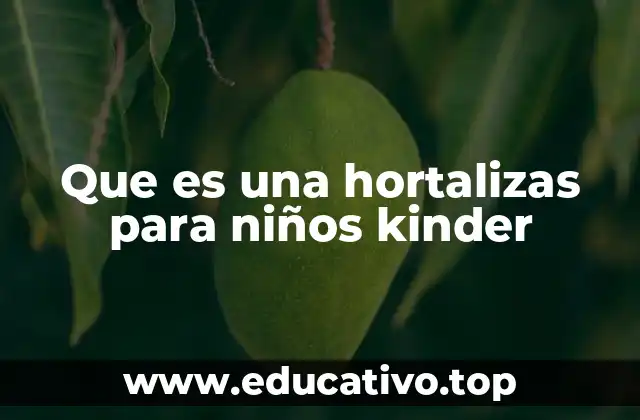 Que es una hortalizas para niños kinder