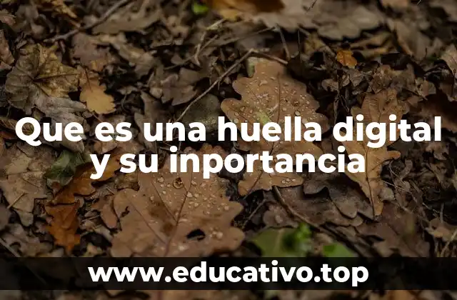 Que es una huella digital y su inportancia