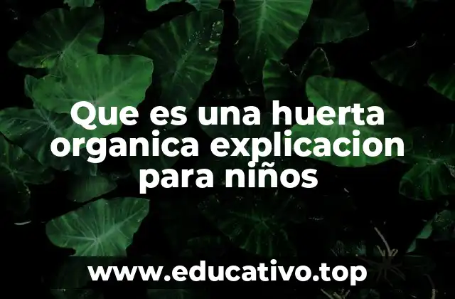 Que es una huerta organica explicacion para niños