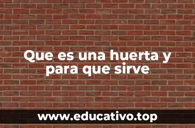 Que es una huerta y para que sirve