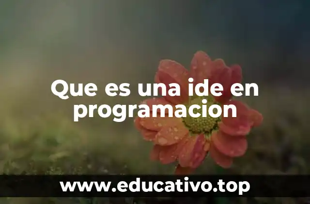 Que es una ide en programacion
