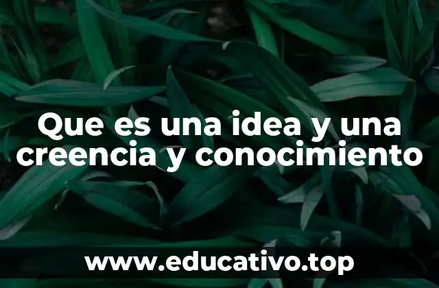 Que es una idea y una creencia y conocimiento