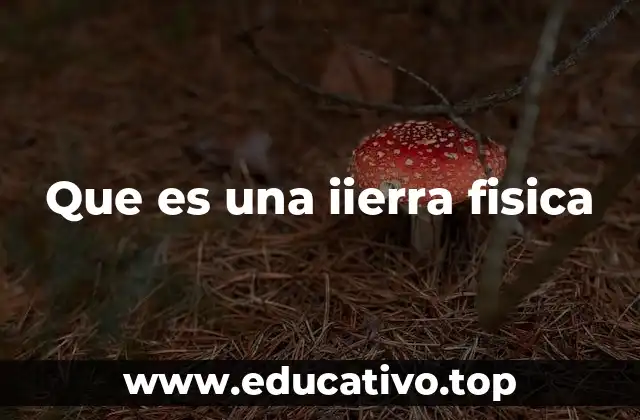 Que es una iierra fisica
