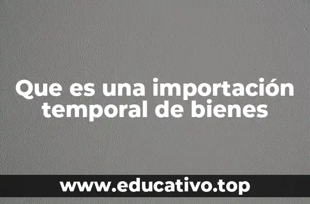 Que es una importación temporal de bienes