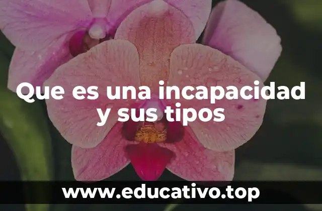 Que es una incapacidad y sus tipos