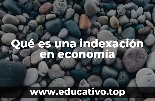 Qué es una indexación en economía