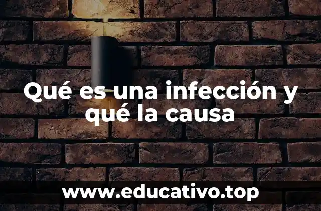 Qué es una infección y qué la causa