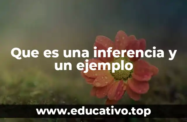 Que es una inferencia y un ejemplo