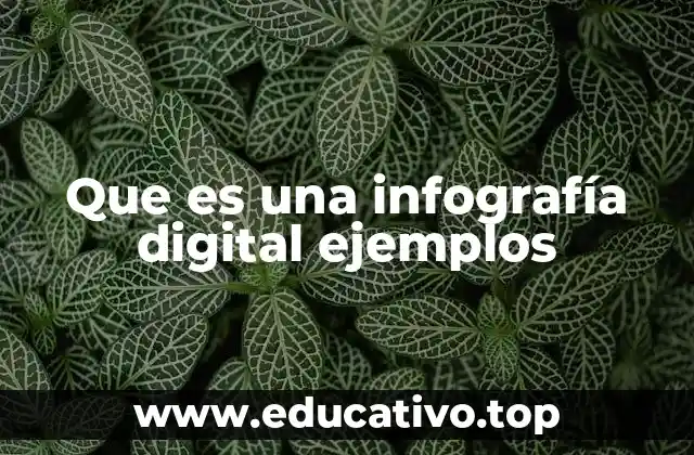 Que es una infografía digital ejemplos