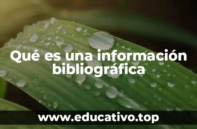 La importancia de los datos bibliográficos en la investigación