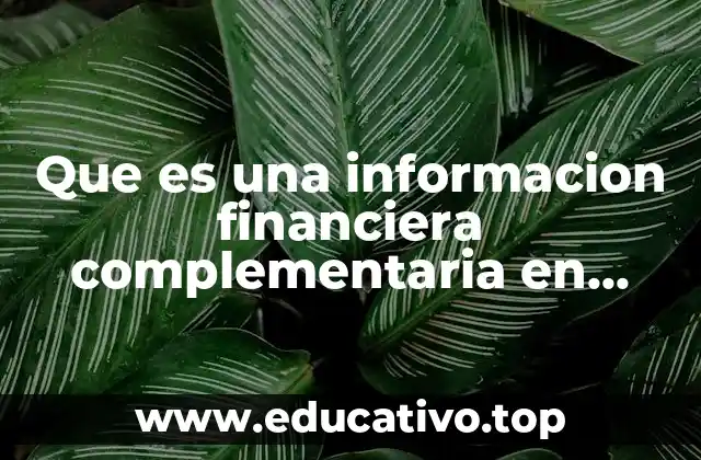 Que es una informacion financiera complementaria en contabilidad