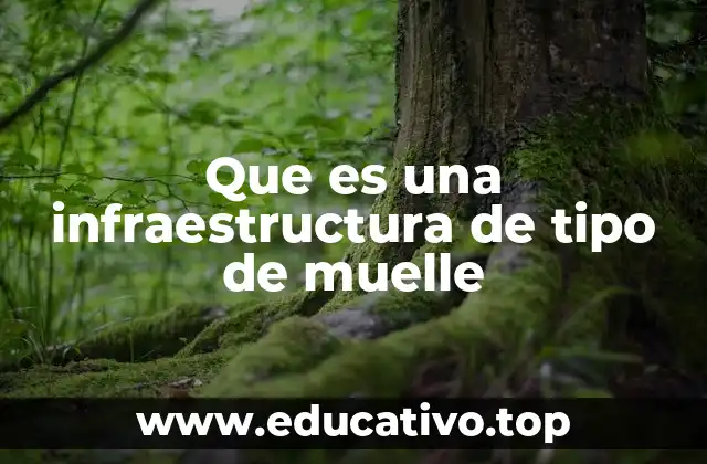 Que es una infraestructura de tipo de muelle