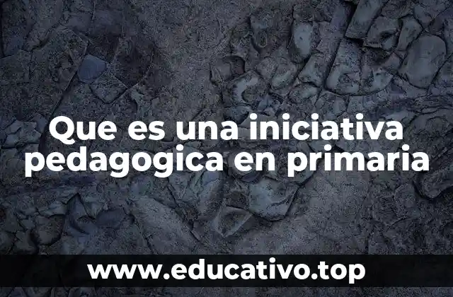 Que es una iniciativa pedagogica en primaria