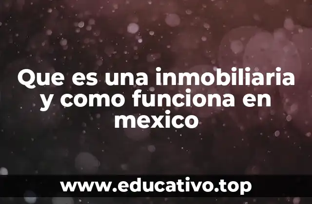 Que es una inmobiliaria y como funciona en mexico