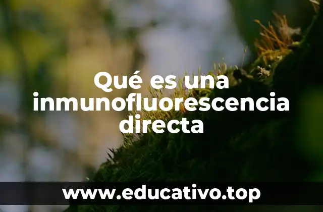 Qué es una inmunofluorescencia directa