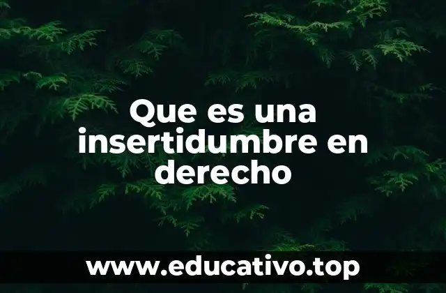 Que es una insertidumbre en derecho