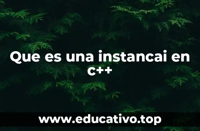 Que es una instancai en c++
