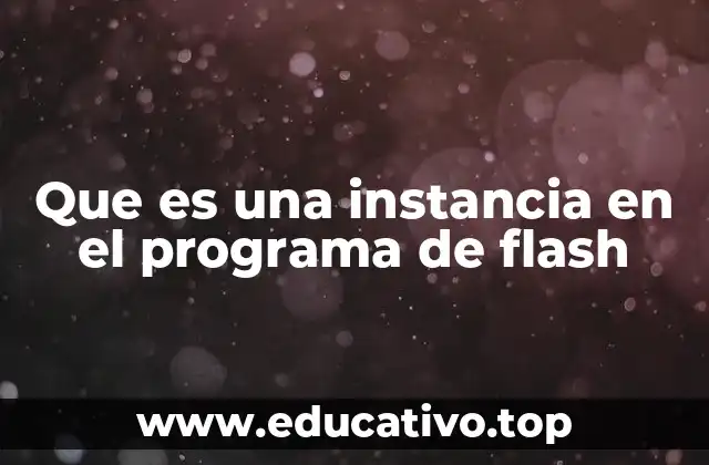 Que es una instancia en el programa de flash