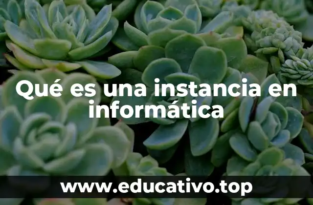 Qué es una instancia en informática