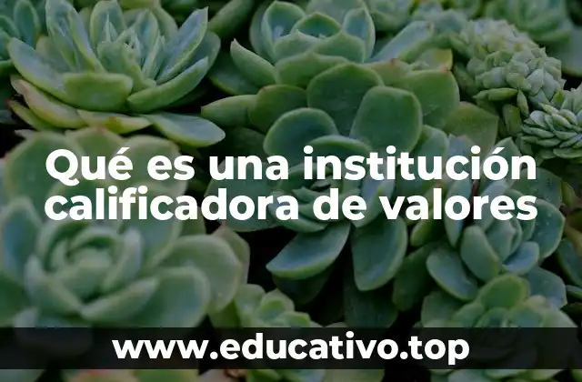 Qué es una institución calificadora de valores
