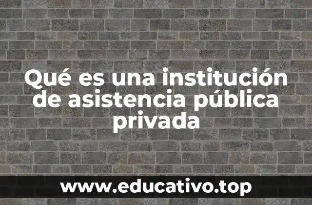 Qué es una institución de asistencia pública privada