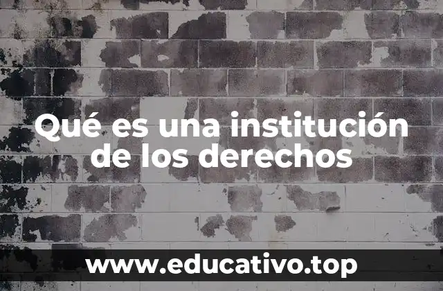Qué es una institución de los derechos