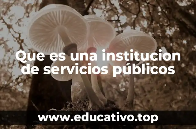Que es una institucion de servicios públicos