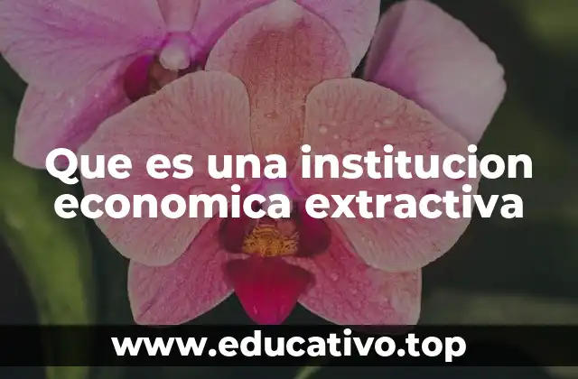 Que es una institucion economica extractiva