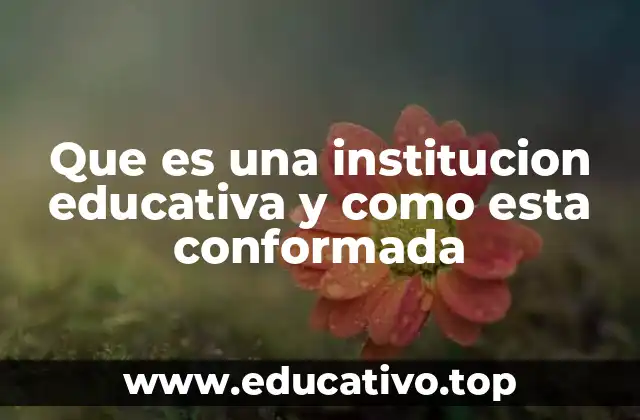 Que es una institucion educativa y como esta conformada