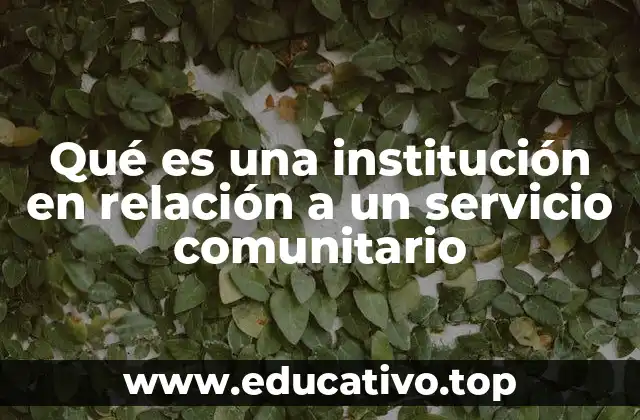 Qué es una institución en relación a un servicio comunitario