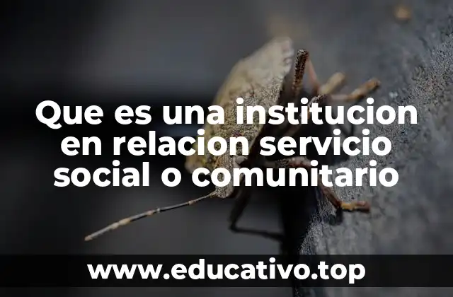 Que es una institucion en relacion servicio social o comunitario