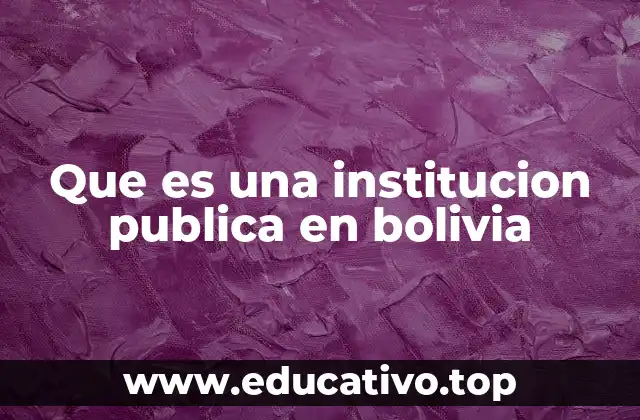 El rol de las instituciones públicas en la organización del Estado boliviano