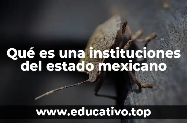 Qué es una instituciones del estado mexicano