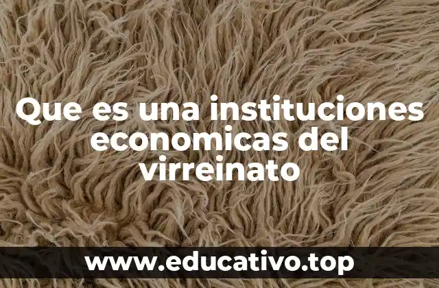 Que es una instituciones economicas del virreinato