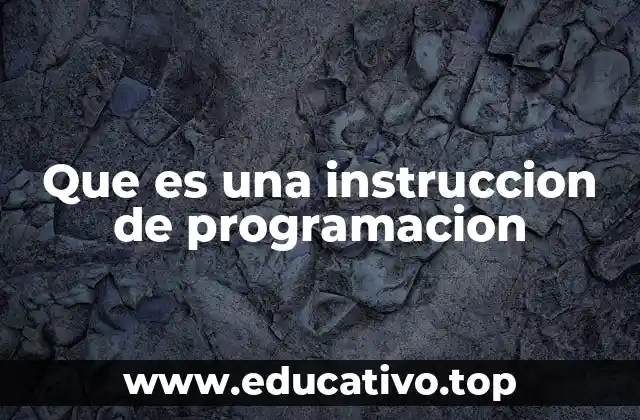 Que es una instruccion de programacion