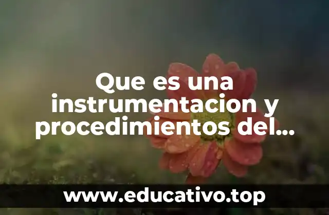Que es una instrumentacion y procedimientos del sistema financiero mexicano