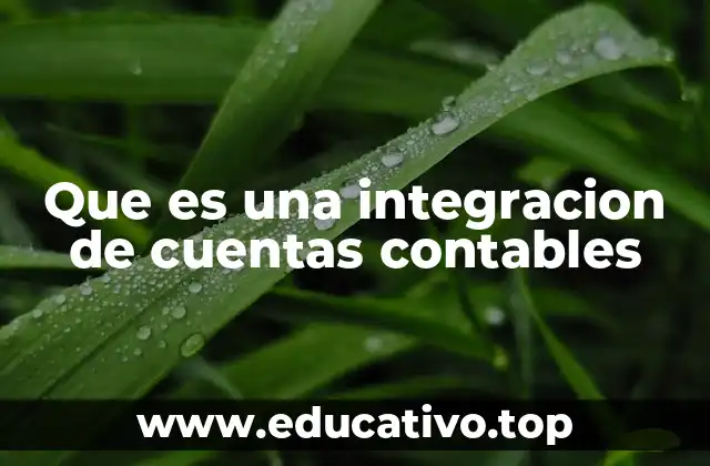 Que es una integracion de cuentas contables