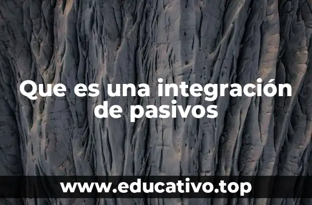 Que es una integración de pasivos